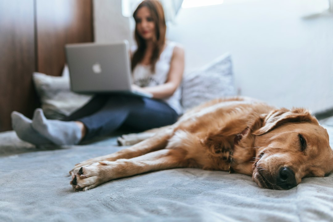 Woman cuddling a happy golden retriever at home
